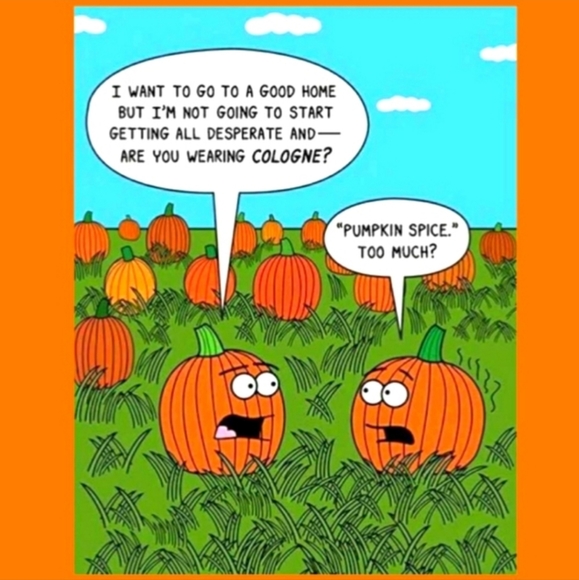 HOME GOODS - Picture 4 of 8